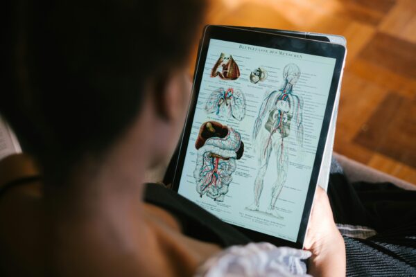 Man looking at Ipad which shows medical drawing of human organs and skeleton.